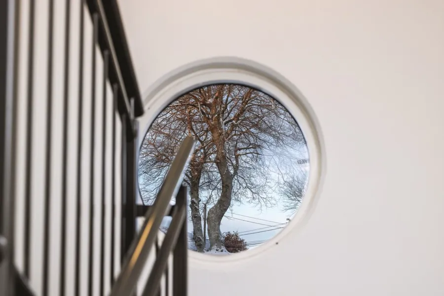 Et tre utenfor en bygning