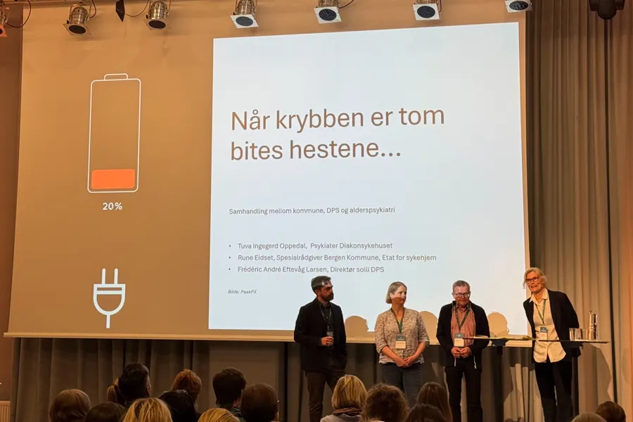 En gruppe mennesker som står foran et projektorlerret