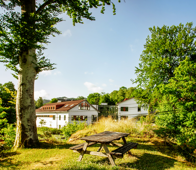Et bord stående i grøntområde med bygninger bak