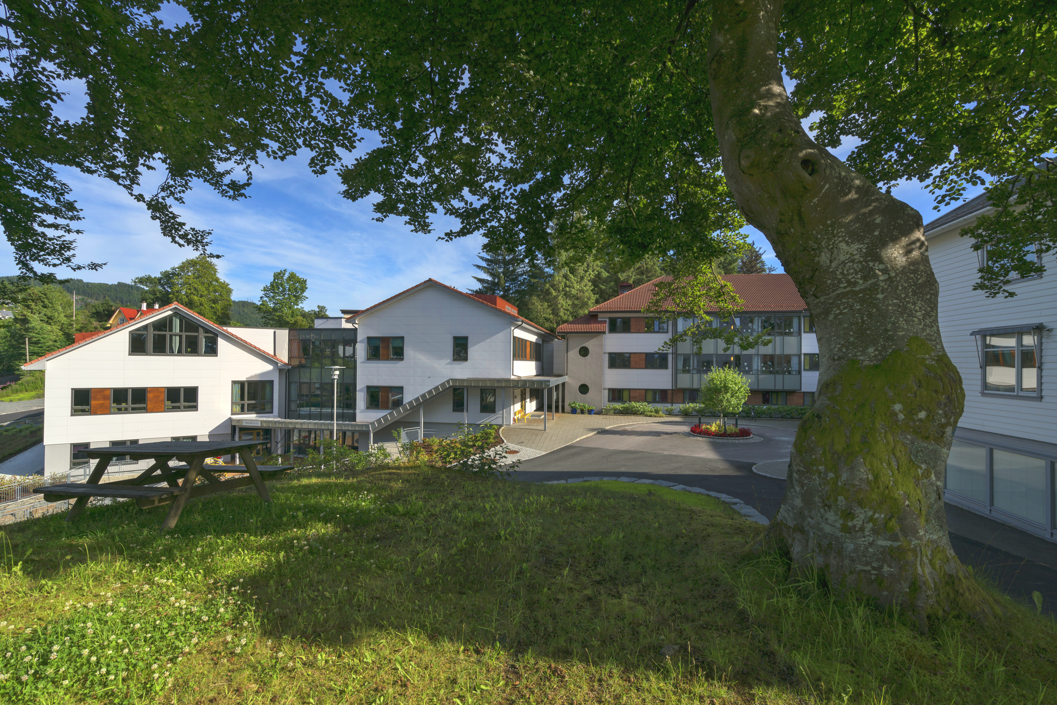 Bygninger bak en gressplen