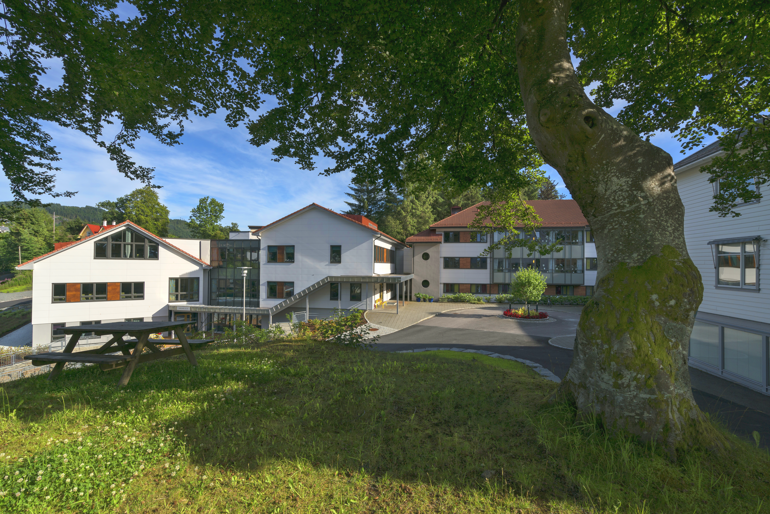 Bygninger bak en gressplen