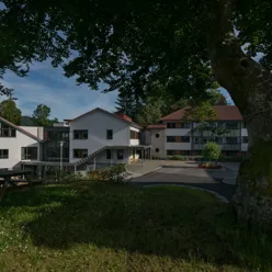 A tree in front of a building