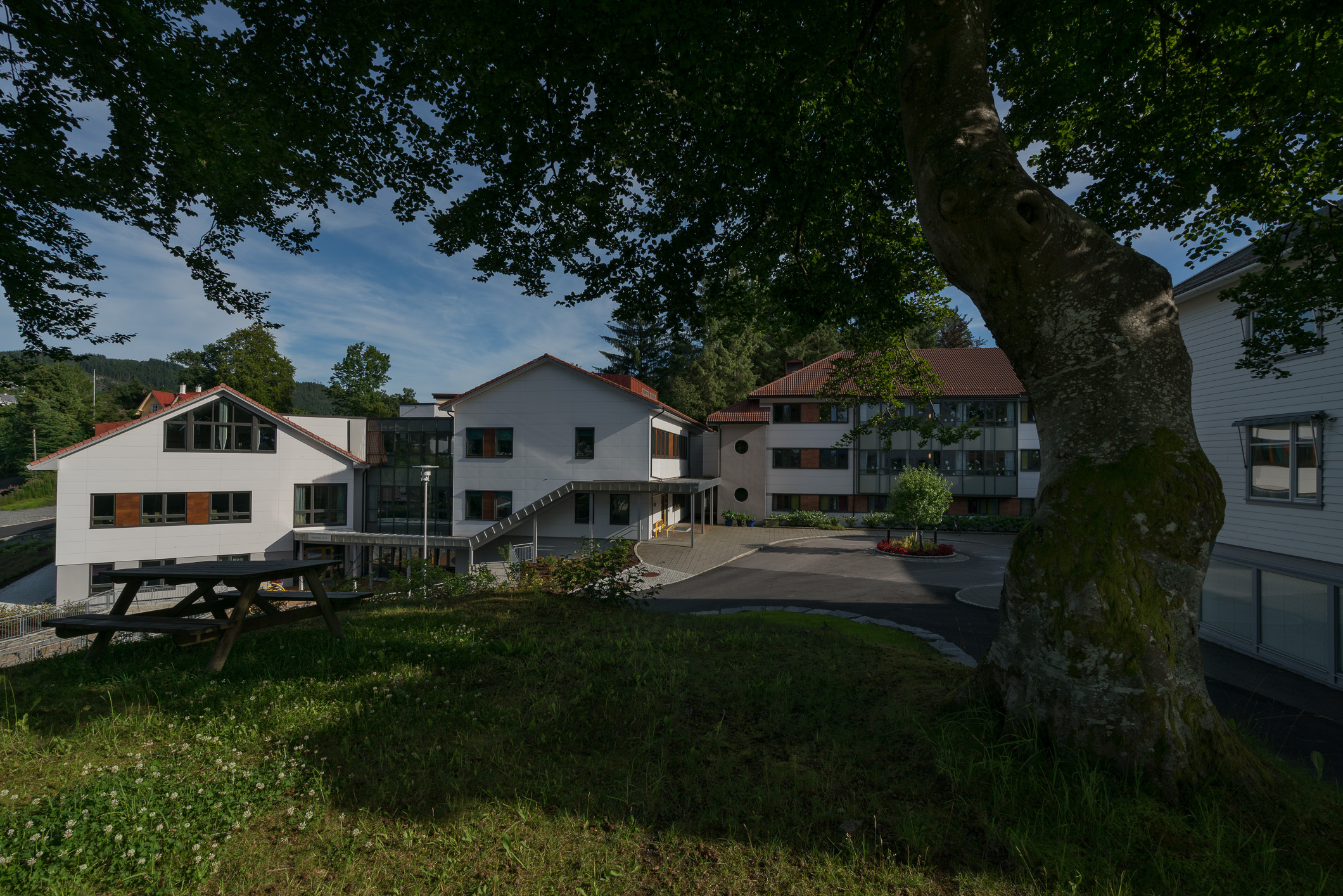 Et tre foran en bygning