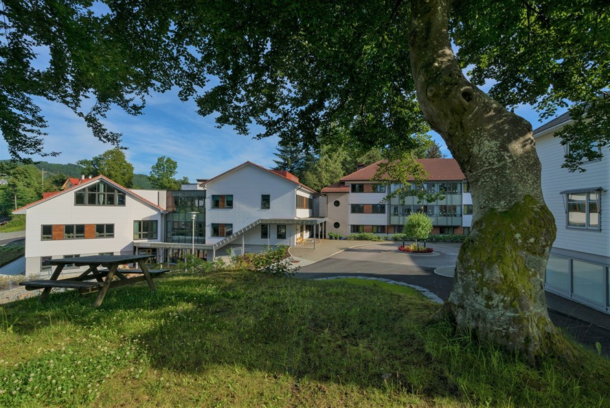 A tree in front of a building