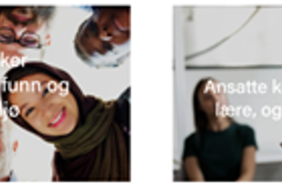 Bilde 2. Utviklingsplan.png